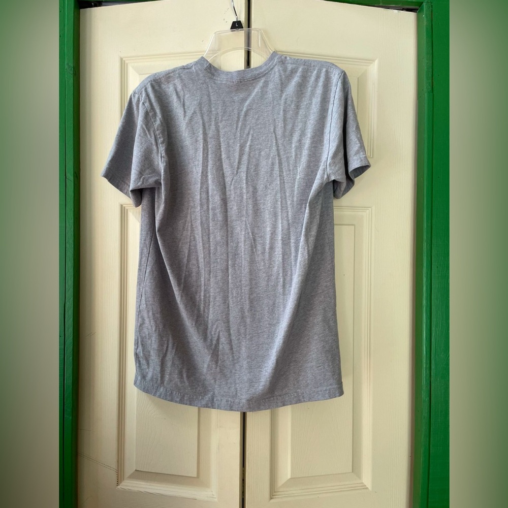 Gray Dillon Panthers Graphic T-Shirt - Picture 5 of 6